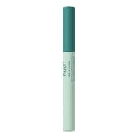 PAYOT PATE GRISE STYLO CORRECTEUR 2X3ML