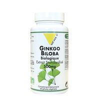 VIT'ALL+ GINKGO BILOBA 500MG
