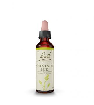 FLEURS DE BACH - n&deg;07 cchestnut bud 20ml