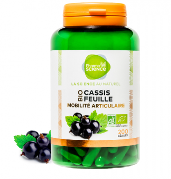 PHARMASCIENCE - Cassis feuille bio 200 g&eacute;lules