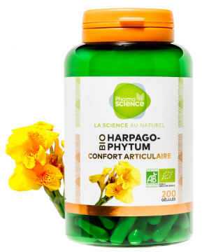PHARMASCIENCE - Harpagophytum confort articulaire bio 200 g&eacute;lules
