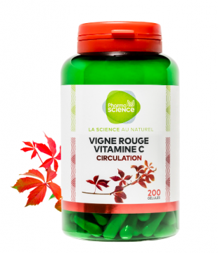 PHARMASCIENCE - Circulation rouge 200 g&eacute;lules