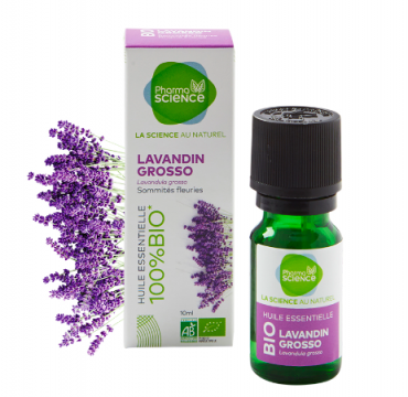 PHARMASCIENCE - Huile essentielle - Lavandin grosso bio 10ml