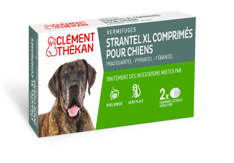 STRANTEL - Clément thékan strantel vermifuge chien XL - 2 comprimés