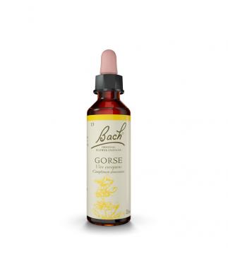 FLEURS DE BACH - n&deg;13 gorse 20ml