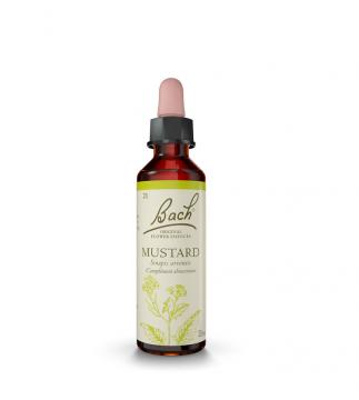 FLEURS DE BACH - n&deg;21 mustard 20ml