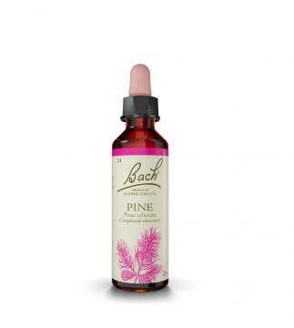 FLEURS DE BACH - n&deg;24 pine 20ml